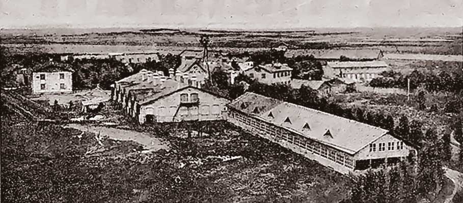 Ферма Бенуа 1910 г.